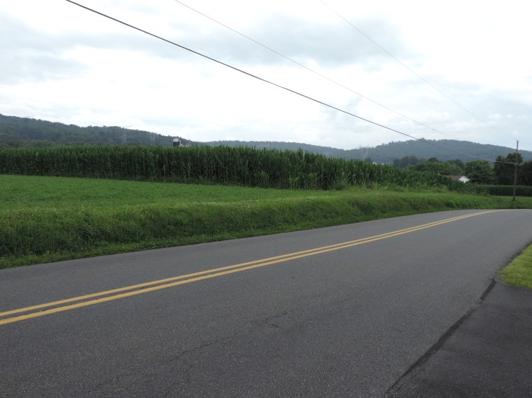 Looking toward land Jacob Oberholtzer once owned. (c) Melanie Carlin 2014