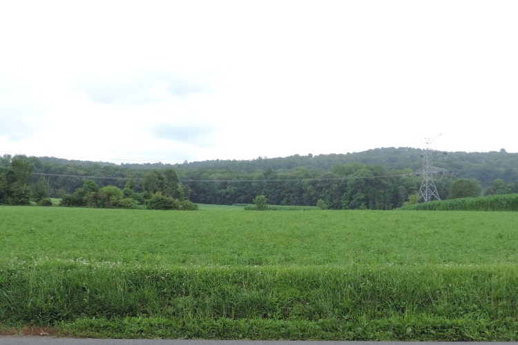 Looking toward land Jacob Oberholtzer once owned. (c) Melanie Carlin 2014
