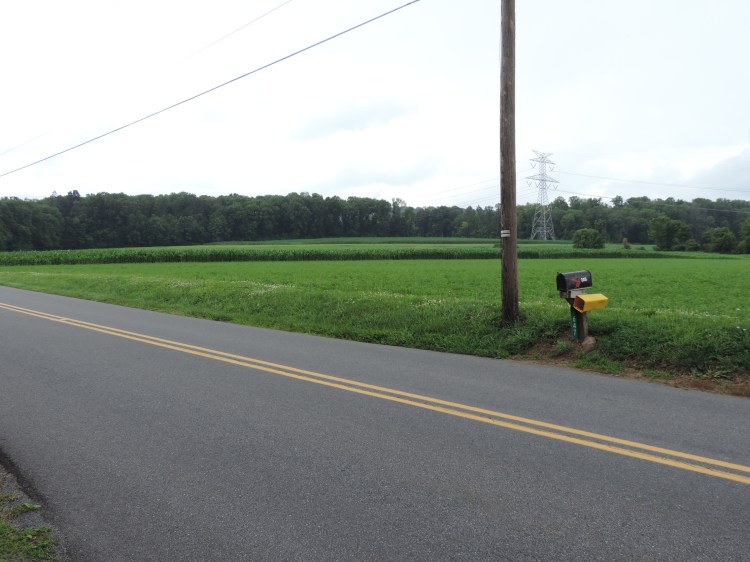 Looking toward land Jacob Oberholtzer once owned. (c) Melanie Carlin 2014