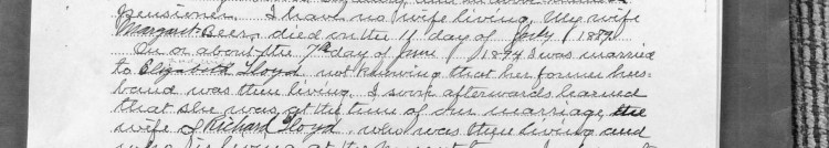 Peter's statement regarding his current and previous marital status.