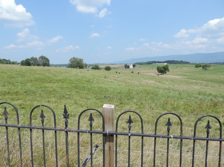This is a view of the land from the cemetery to the East. It is possibly where the original homestead could have been.