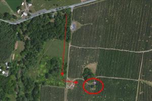 Google Maps gives a birds eye view of the cemetery.